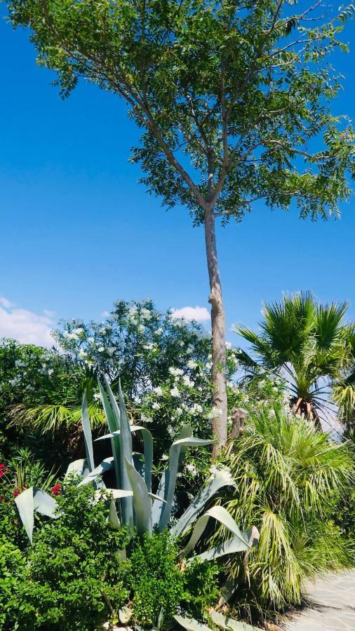Cortijo Paraiso Charcon Higuera Kültér fotó