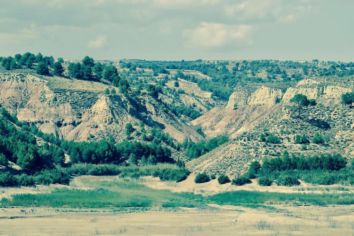 Cortijo Paraiso Charcon Higuera Kültér fotó