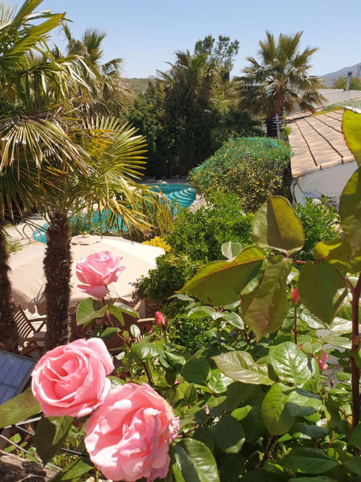 Cortijo Paraiso Charcon Higuera Kültér fotó